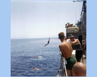 1968 05 05 South Vietnam - Swim Call  - Yes, Diving off the 02 level.jpg